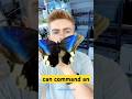 This Might Be the Strangest Ability on the Internet #shorts #reelschallenge #trendingshorts