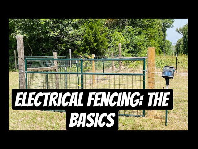 Electrical Fencing: The Basics 