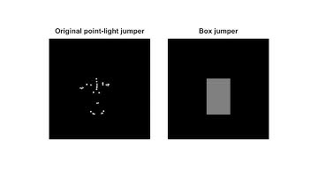 Motion Perception: From Detection to Interpretation: Supplemental Video 5