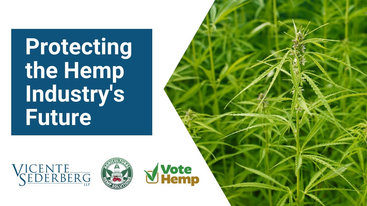 Protecting the Hemp Industry's Future