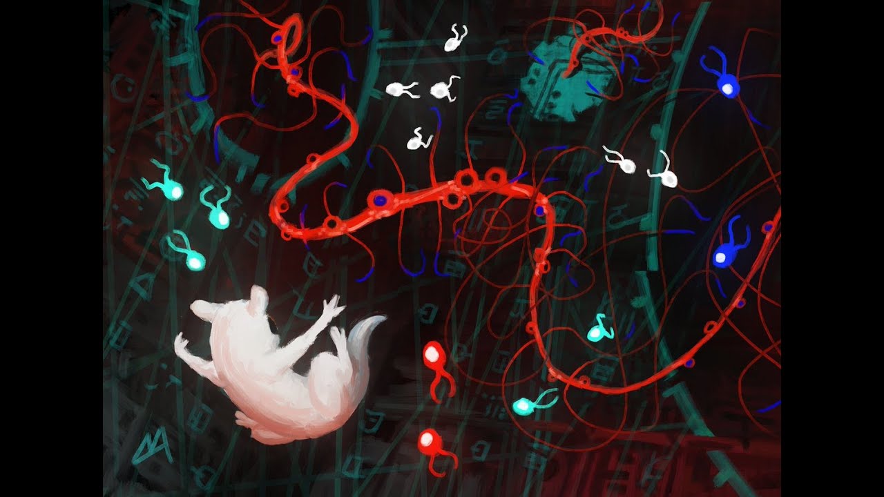 Rain World I Пять Галек I Five Pebbles