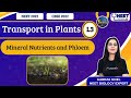 Sankalp: Transportation in Plants L-3 | NEET Toppers | Garima Goel