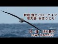 追悼 谷村新司さん作詞・作曲 信天翁(あほうどり) / 秋庭豊とアローナイツ cover legend83