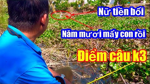 VÔ TÌNH Gặp Nữ Lão Cần Thủ Phán Một Câu Bủn Rủn Tay Chân | Fishing