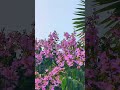 #video #love