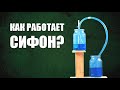 За счёт чего сифон поднимает воду?