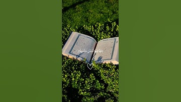 سورة الإنسان بصوت الشيخ محمد اللحيدان عينا فيها تسمى سلسبيل #اللحيدان #راحة_نفسية #تلاوة_خاشعة #قرآن