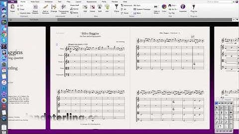 Sibelius: How to Delete V.S.