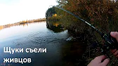 Рыбалка Наше Всё