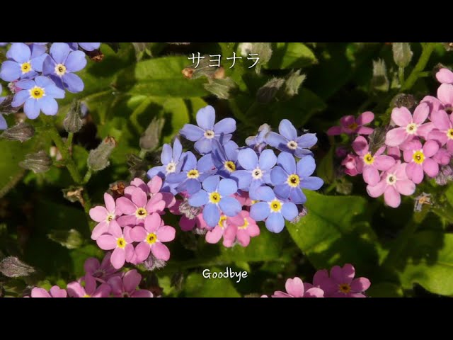 Chubby - YouTube