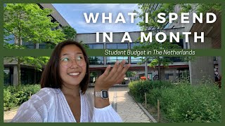 What I spend in a month *as a student in The Netherlands*