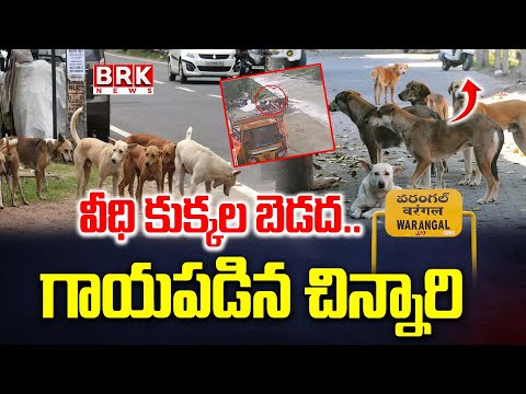 వీధి కుక్కల బెడద..గాయపడిన చిన్నారి |Greater Warangal Faces Increasing Stray Dog Problem | BRK News - TV9