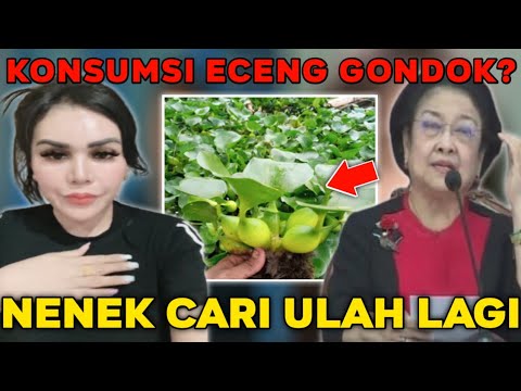 PEDAS! GILIRAN RATU ENTOK SEMPROT MEGAWATI SOAL MAKAN ECENG GONDOK