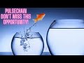 Pulsechain Don't Miss This Opportunity!