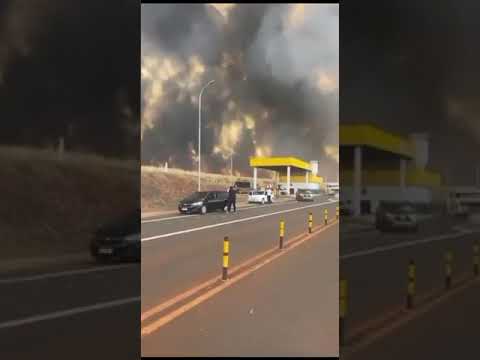 Brazil's Forest Fires