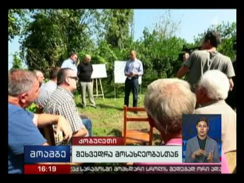 ქობულეთში ლევან ვარშალომიძემ ციტრუსის რეალიზების პროგრამა წარადგინა