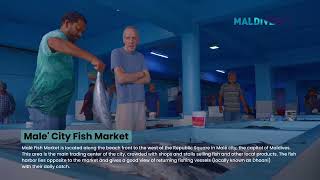From Ocean to Market | The Real Maldives Fish Market Experience