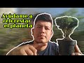 PLANTA UN ÁRBOL