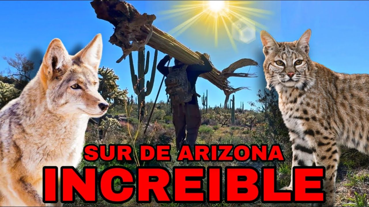 SUR DE ARIZONA INCREIBLE LO QUE PASA POR AQUI 