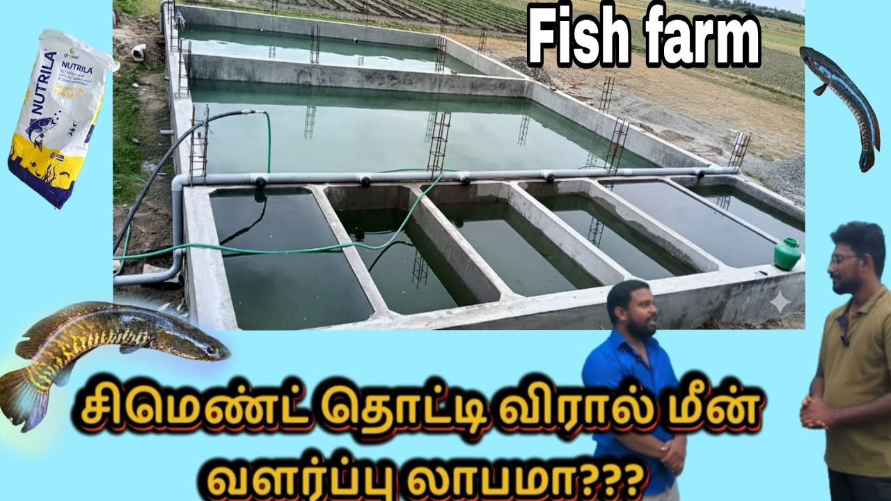 விரால் மீன் வளர்ப்பு பற்றிய முழு தகவல்கள்|tamil|Fish farm tour