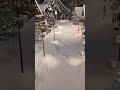Snowy Cozy Christmas Ambience#christmas2025 #shorts #winterambience