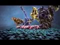 Powering the Cell: Mitochondria Animation Mp3 Song