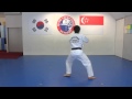 Black tip belt pattern by hyun tkd academy