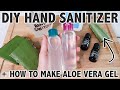 HOW TO MAKE HAND SANITIZER + How to Make ALOE VERA GEL from Scratch | DIY HAND SANITIZER