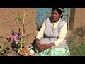 SALTADO DE BRÓCOLI COCINADO EN EL CAMPO - COCINA CON MAMILA