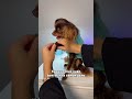 На самом деле той терьеры такие злюки 🤣 пенка для лап арт ВБ: 248237382