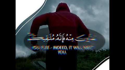 قرآن كريم بصوت القارئ شريف مصطفى تلاوة هادئ ارح قلبك 💚🌿حالة واتس إسلامية /استوري انستغرام