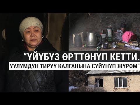 Video: Өкүл менен кантип байланышса болот