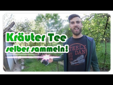 Video: Zierkaninchen: Lebenserwartung und Haftbedingungen