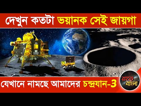 ভিডিও: কোন পরিশিষ্ট) গতিশীলতা প্রদান করে?