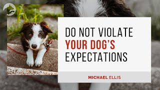 DO NOT Violate Your Dog's Expectations  Michael Ellis
