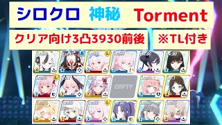 大決戦 シロクロ 市街地 神秘(特殊装甲) Torment 39,317,603pt TL付き 【ブルアカ】