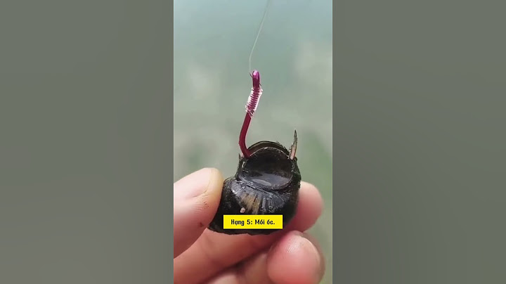 Top 10 loại mồi câu tốt nhất #cauca #dammecauca #fishing #fishingvideo #moicauca #moicau #câucá