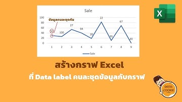 สร้างกราฟ Excel ที่ Data Label คนละชุดข้อมูลกับกราฟ 📈