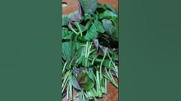 healthy red leafy veggie cutting #asmr   #youtubeshorts #viral #video #trending #shorts