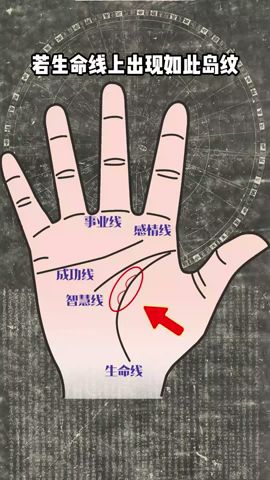 #手相 #命理 #八字 #palmistry