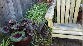 Creative Visual Solutions Too