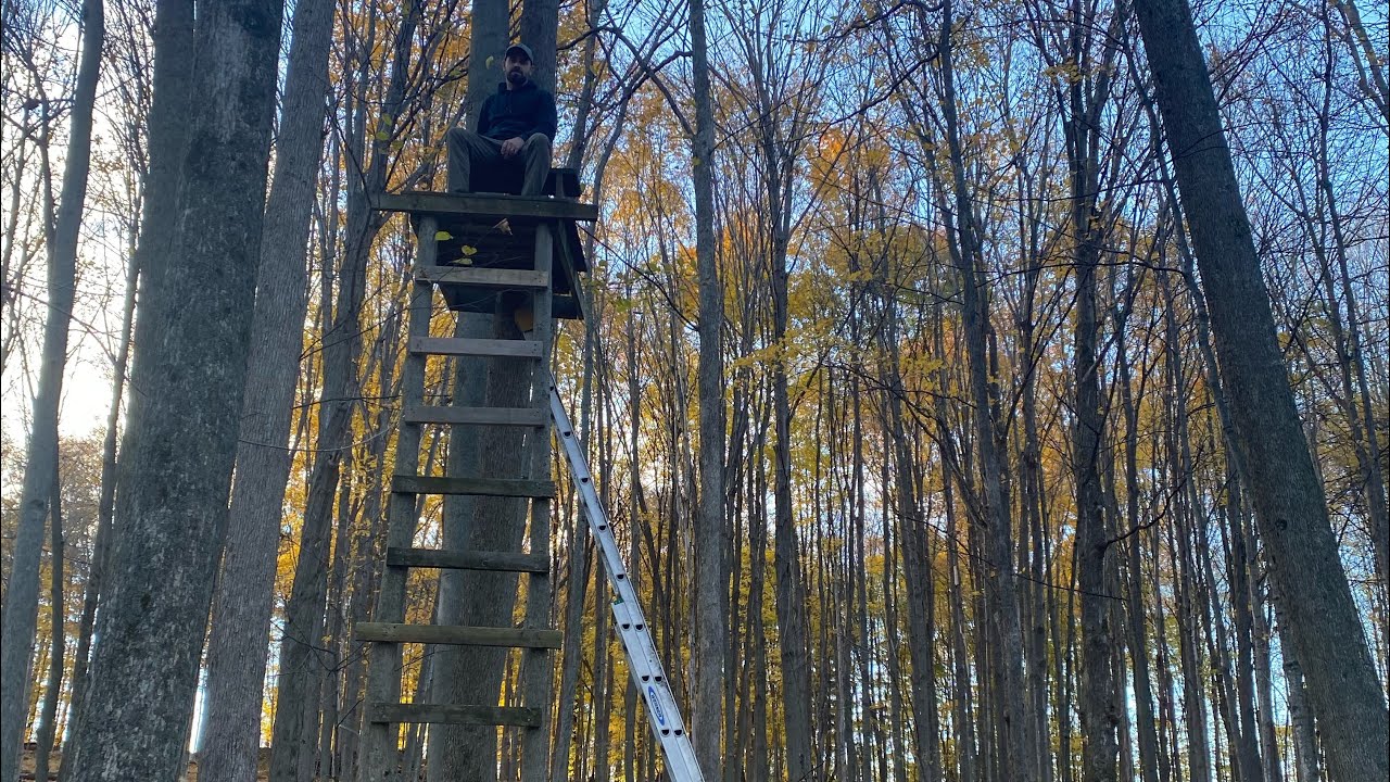 Deer Tree Stand Getting Ready For Deer Hunting Season In NYS