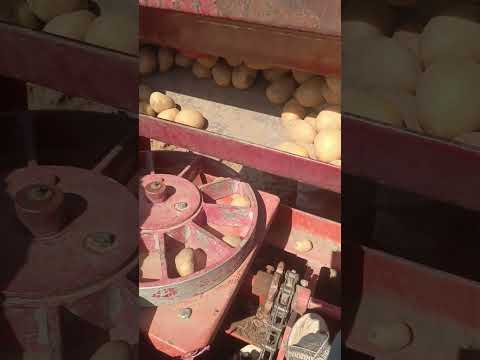 والله لو ماعلي دين لاانت ولا ابوك يجيبني على شغل هاد المراه دويتو سوريا اكسبلور اهميه لايك