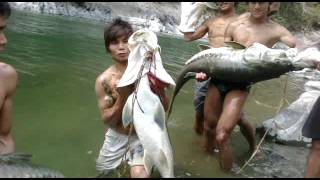 Bigest Mahseer Fishing in Tizu river