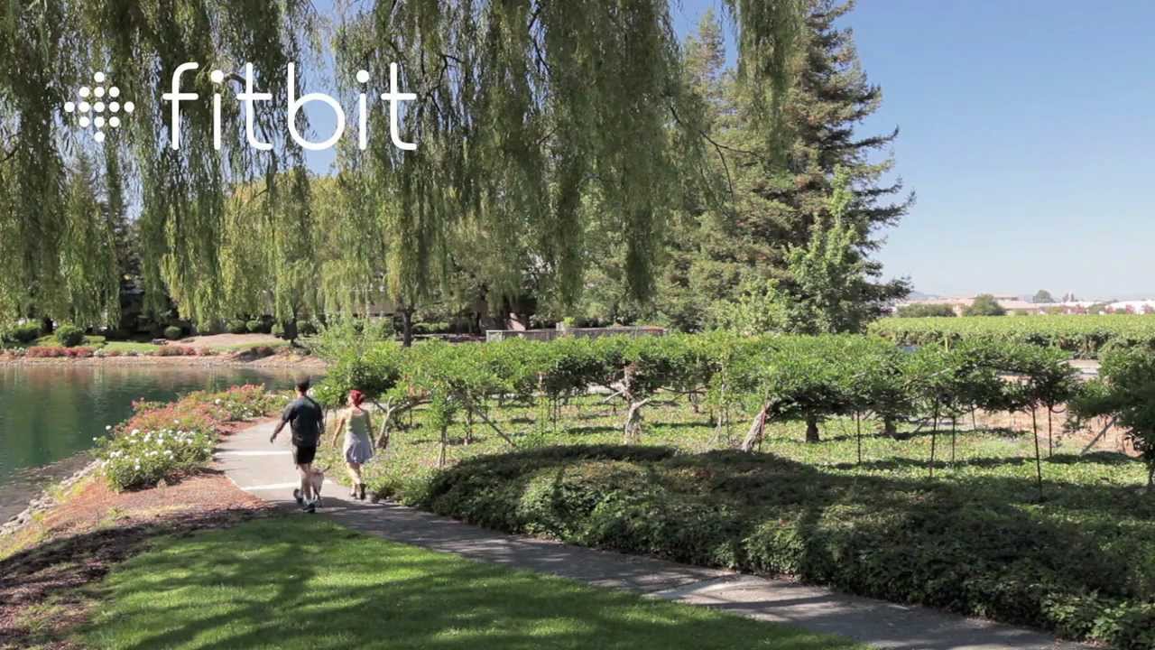 Fitbit Ultra - Monitor de Actividad Física Diaria + Sueño