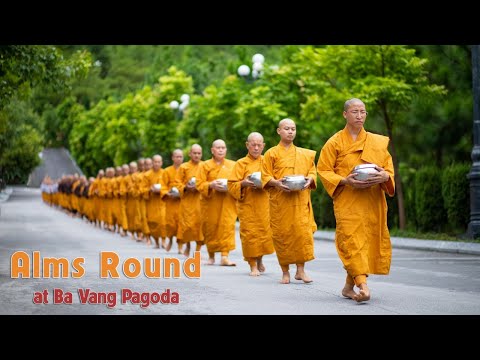 Alms Round at Ba Vang Pagoda: Within the Spirit of Independence Day