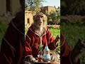 حتى قط ما تيهرب من دار العرس مع قردوش 2230