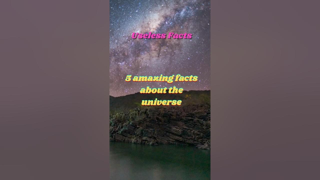 Mind Blowing Halococo Facts You Need To Know - 3kz6sk1