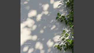 Sunlit Smile