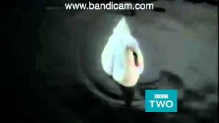 Bbc Two Swan - Clean